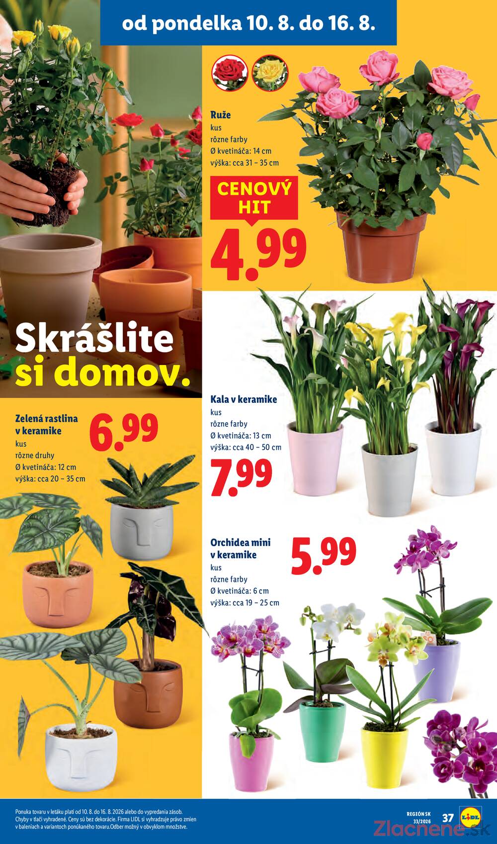 Lidl do 16.8.