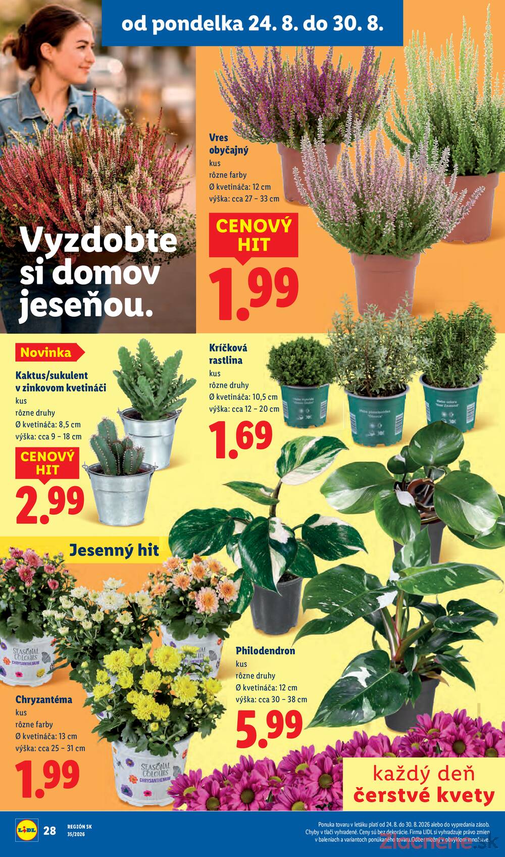 Lidl do 30.8.