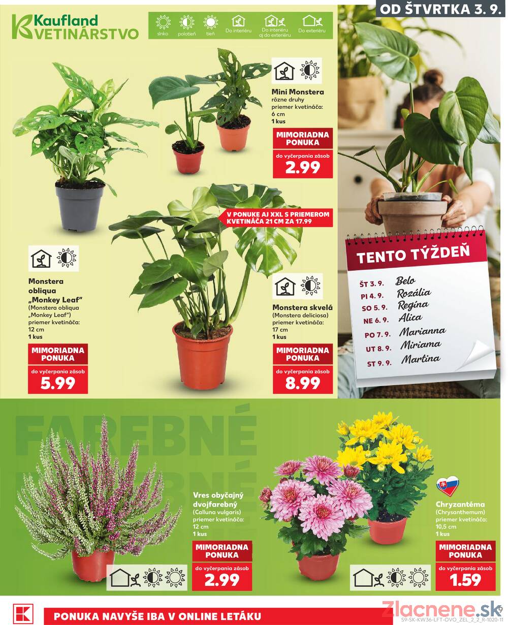 Kaufland 3.9. - 9.9. - Kaufland Trnava - Nová ul.