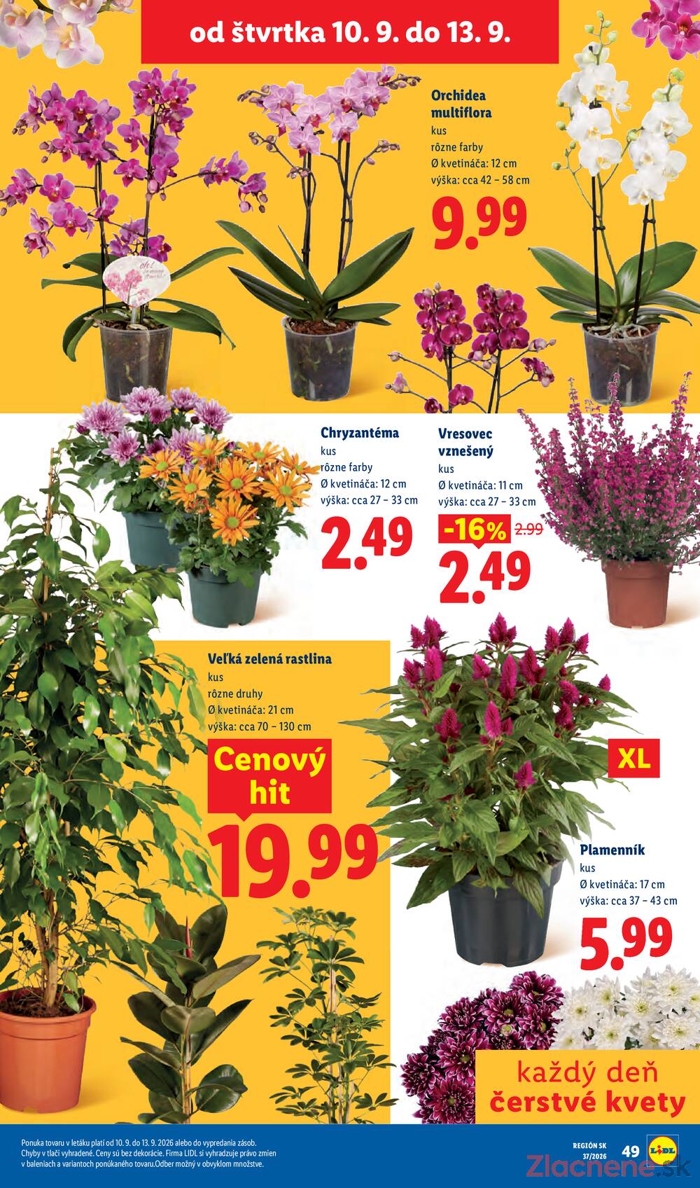 Lidl 7.9. - 13.9.