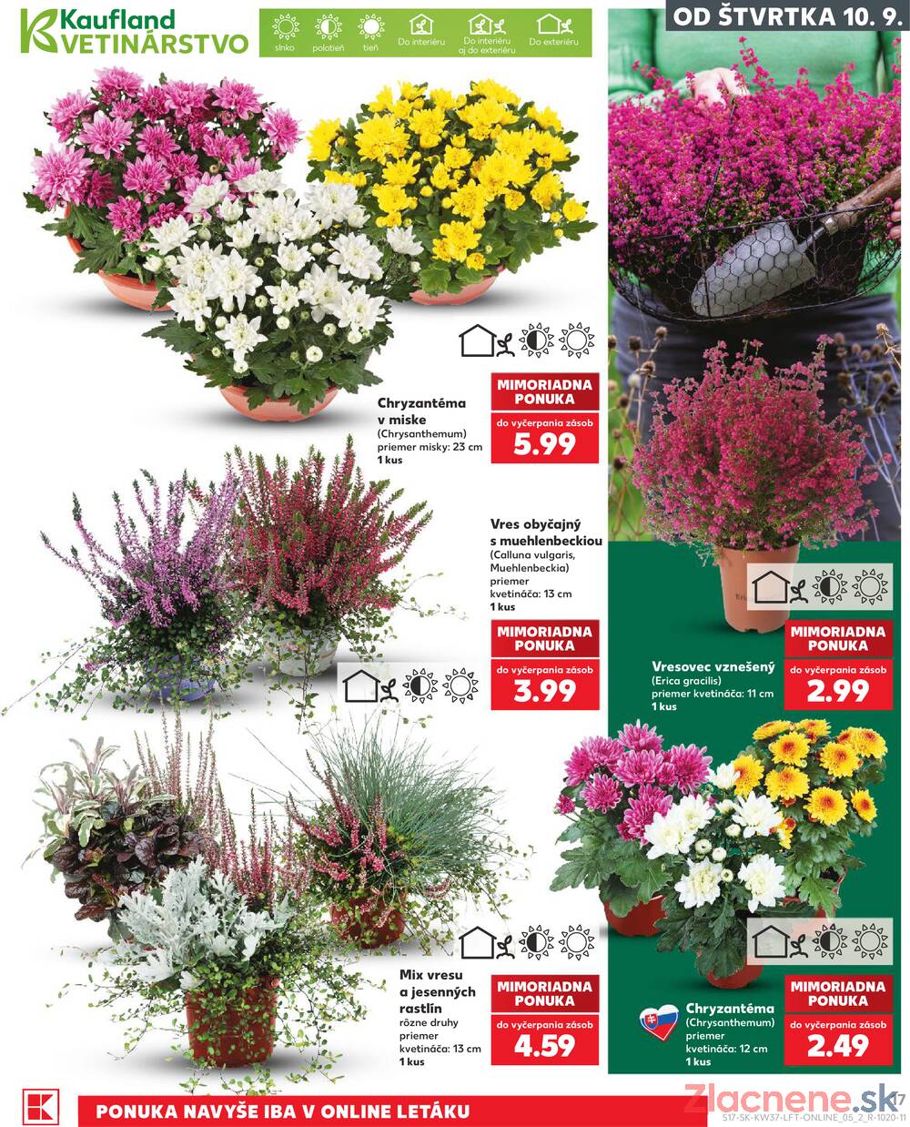 Kaufland 10.9. - 16.9. - Kaufland Detva