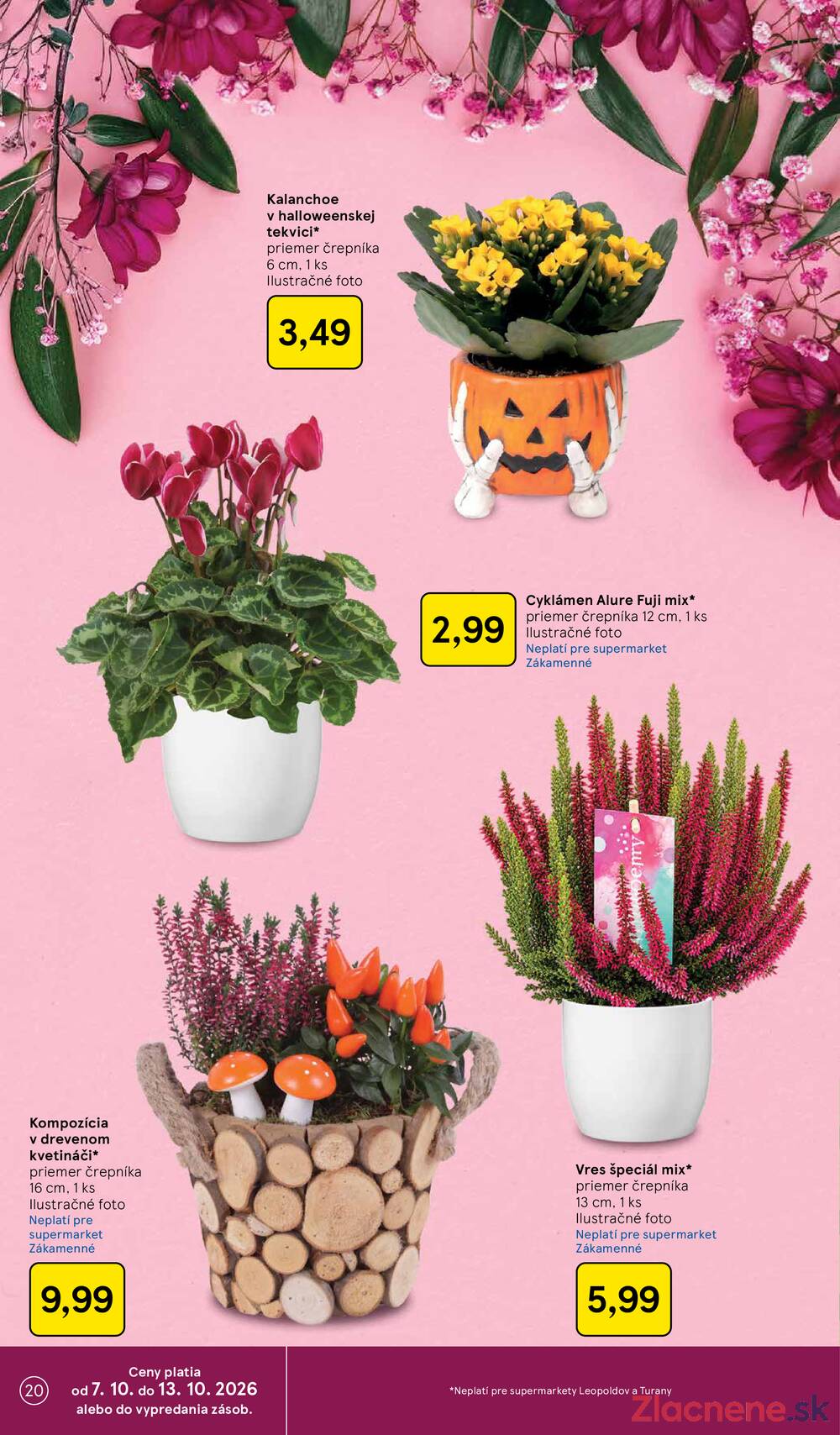 Tesco supermarkety od 7.10. do 13.10.2026