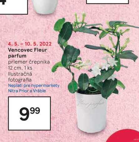 Vencovec Fleur parfum