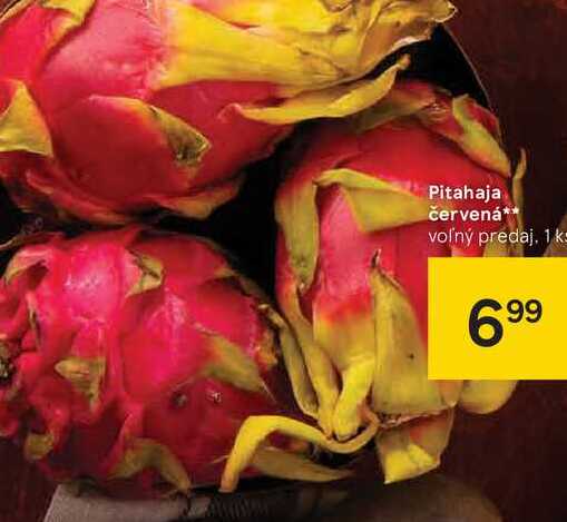 Pitahaja červená, 1 ks