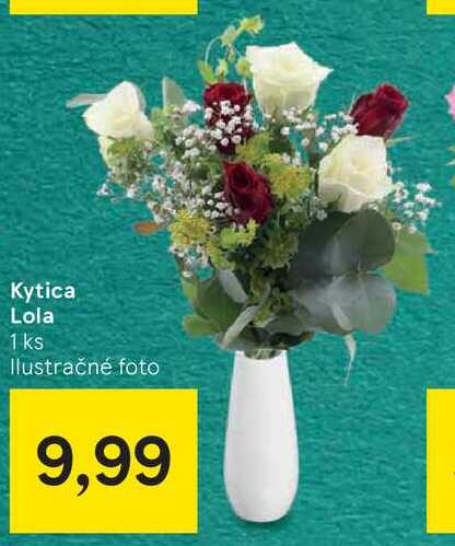 Kytica Lola 