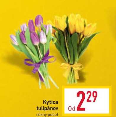 Kytica tulipánov rôzny počet