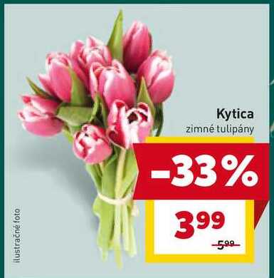 Kytica zimné tulipány 