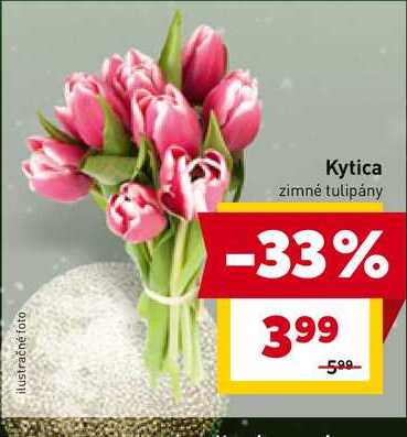 Kytica zimné tulipány 