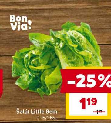 Šalát Little Gem 2 ks
