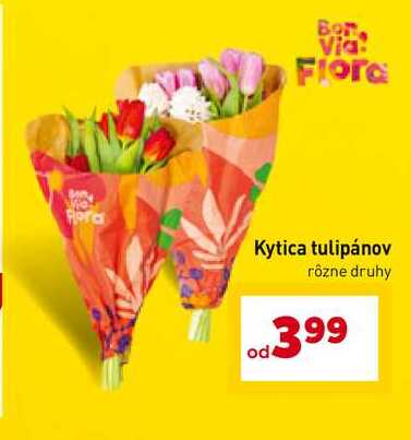 Via Flora Kytica tulipánov rôzne druhy