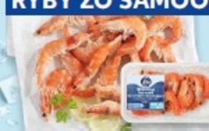 K-Blue Bay Krevety