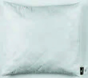 PAPLÓN