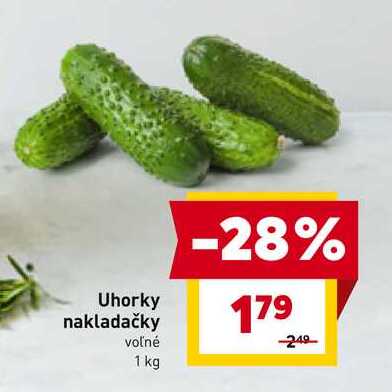Uhorky nakladačky voľné 1 kg 