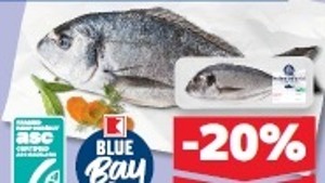K-Blue Bay Pražma kráľovská
