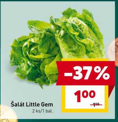 Šalát Little Gem 2 ks