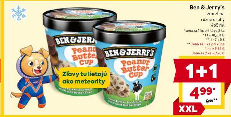 Ben & Jerry's zmrzlina rôzne druhy 465 ml 