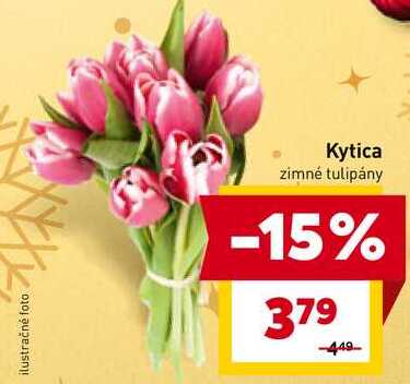 Kytica zimné tulipány 