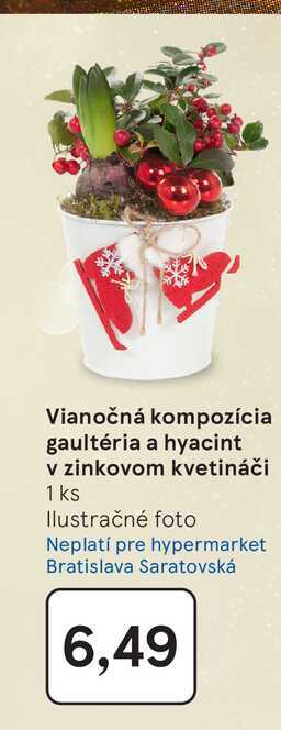 Vianočná kompozícia gaultéria a hyacint v zinkovom kvetináči 1 ks