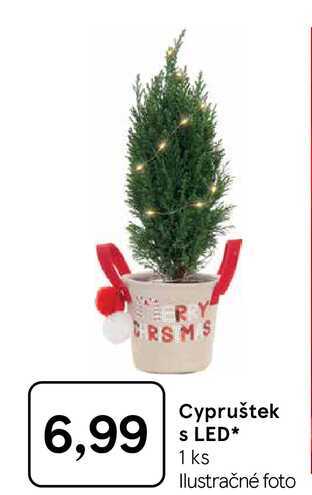 Cypruštek S LED 1 ks 