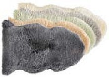 10: Ovčia kožušina Hobart