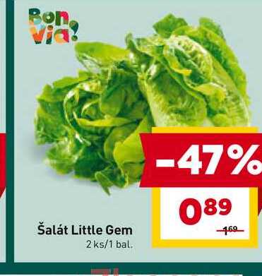 Šalát Little Gem 2 ks/1 bal. 