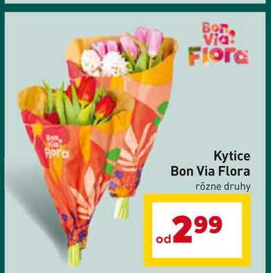 Bon Via Flora rôzne druhy 