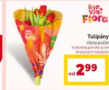 Tulipány rôzny počet 