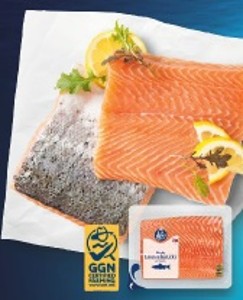 K-Blue Bay Losos Atlantický