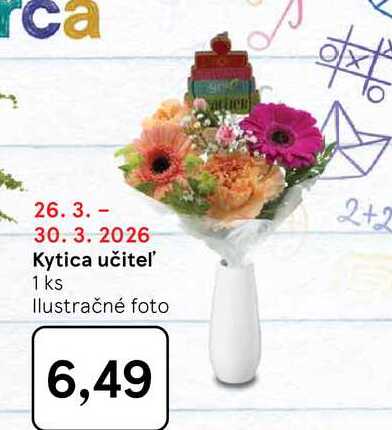 Kytica učiteľ 1 ks