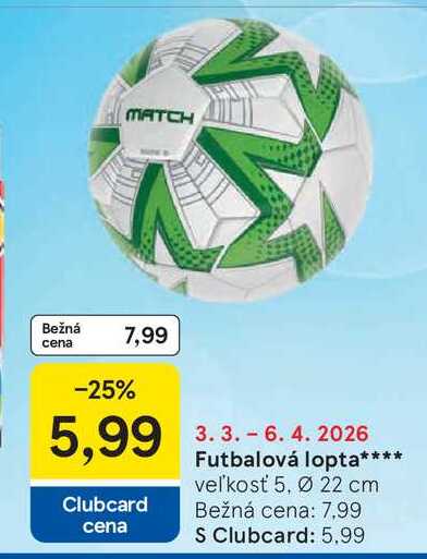 Futbalová lopta veľkosť 5, Ø 22 cm