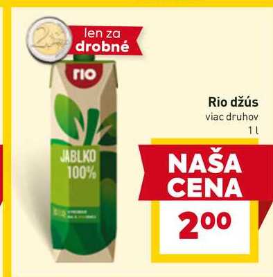 Rio džús viac druhov 1l