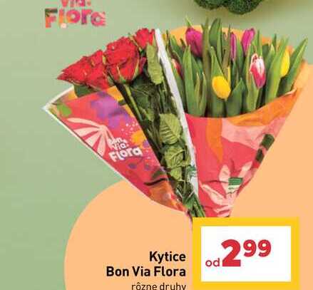 Kytice Bon Via Flora