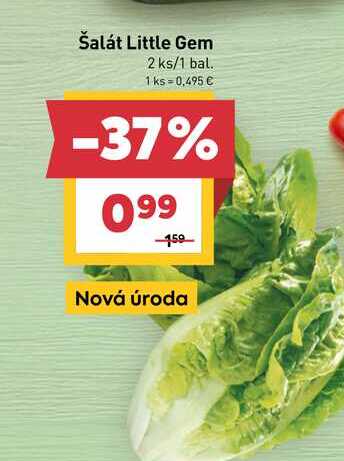 Šalát Little Gem 2 ks/1 bal. 