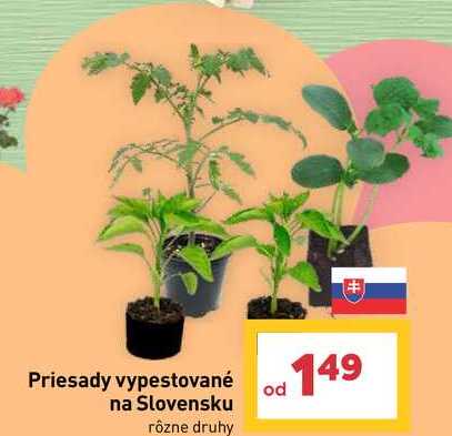 Priesady vypestované na Slovensku rôzne druhy 