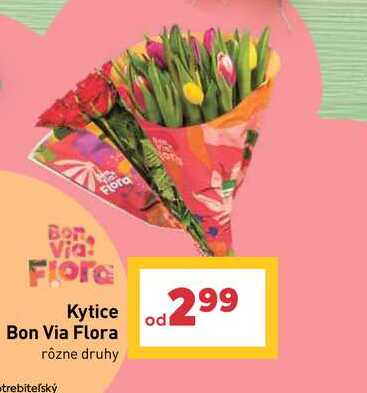 Kytice Bon Via Flora rôzne druhy