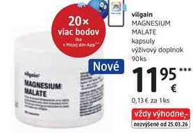 vilgain MAGNESIUM MALATE kapsuly, 90 ks