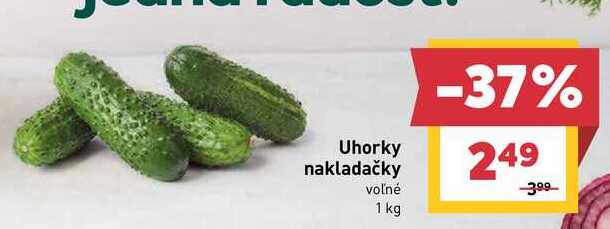 Uhorky nakladačky voľné 1 kg 