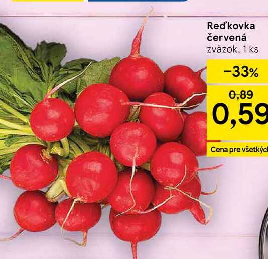 Reďkovka červená zväzok, 1 ks