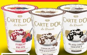 Carte D'OR Dezert z kyslej smotany