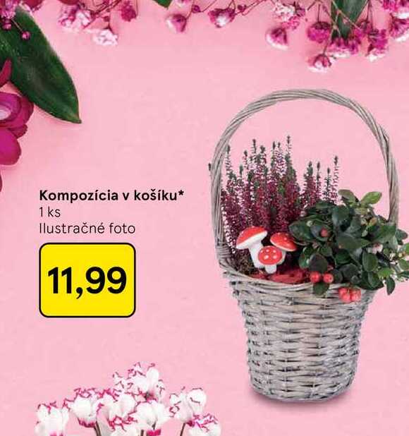 Kompozícia v košíku 1 ks