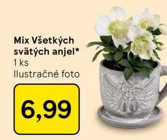 Mix Všetkých svätých anjel 1 ks